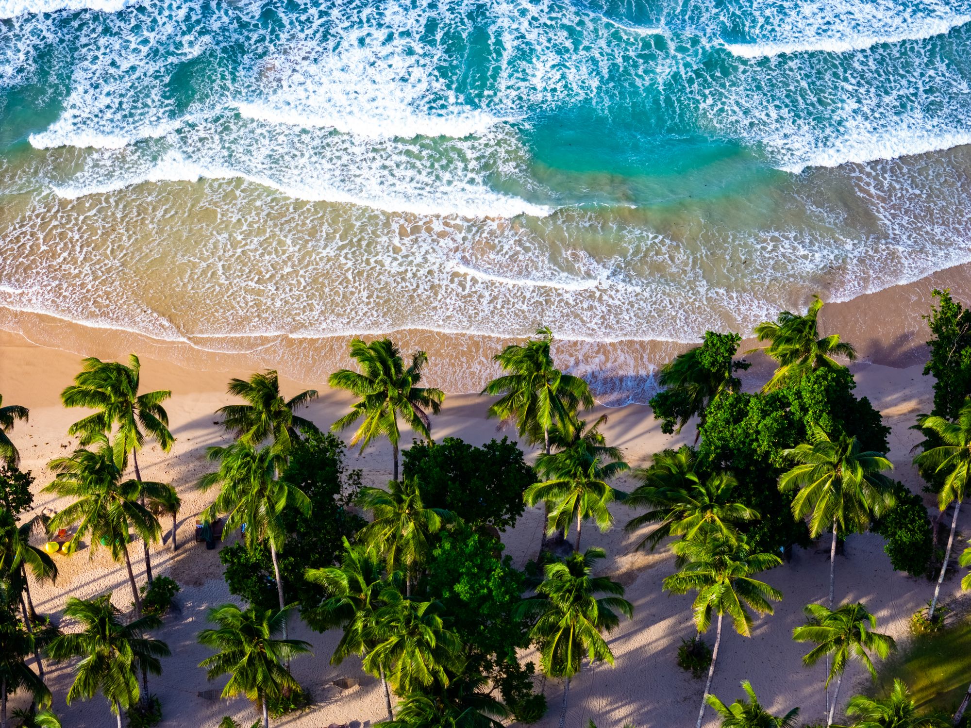 Bali Family Adventure